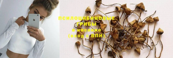 соль курить ск Алзамай