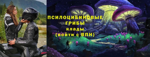 мескалин Новодвинск