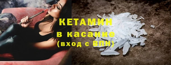 индика Новозыбков