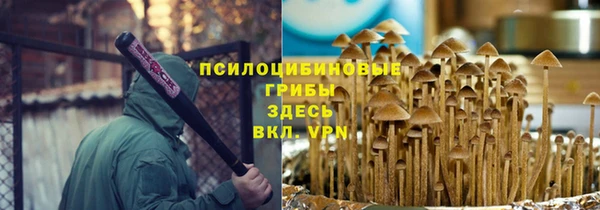 соль курить ск Алзамай