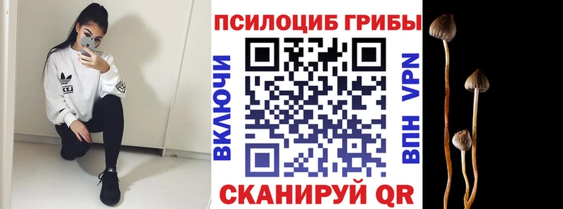Галлюциногенные грибы Cubensis  Анапа 